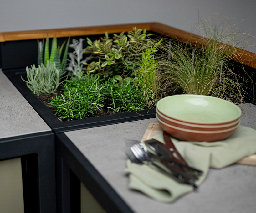planter 1